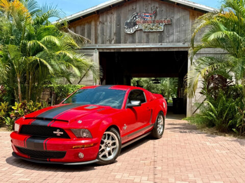 2008 Shelby GT500 na prodej