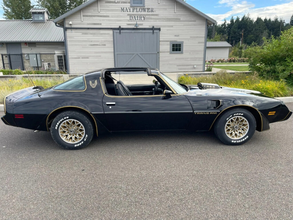 1979 Pontiac Trans Am