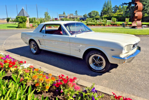 1966 Ford Mustang na prodej