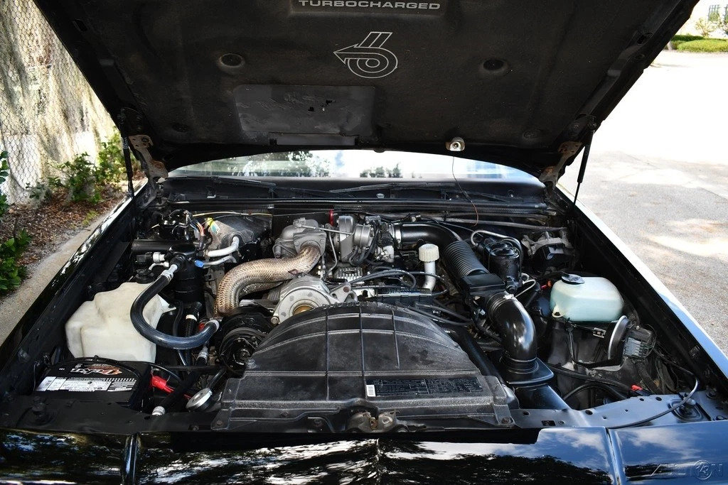 1984 Buick Regal