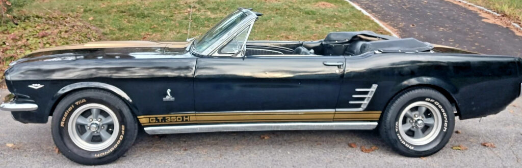 1966 Shelby GT350H